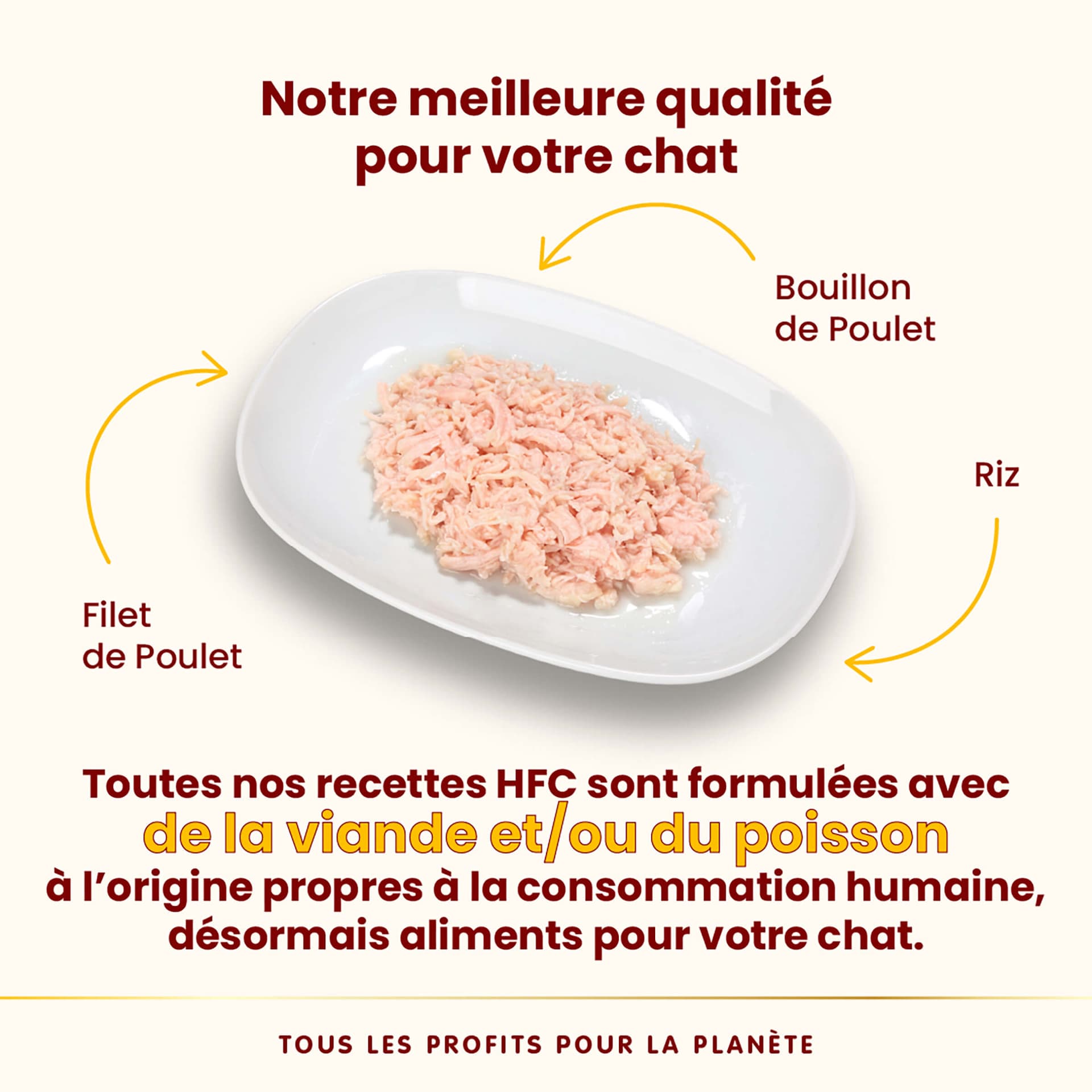 HFC Natural Filet de poulet