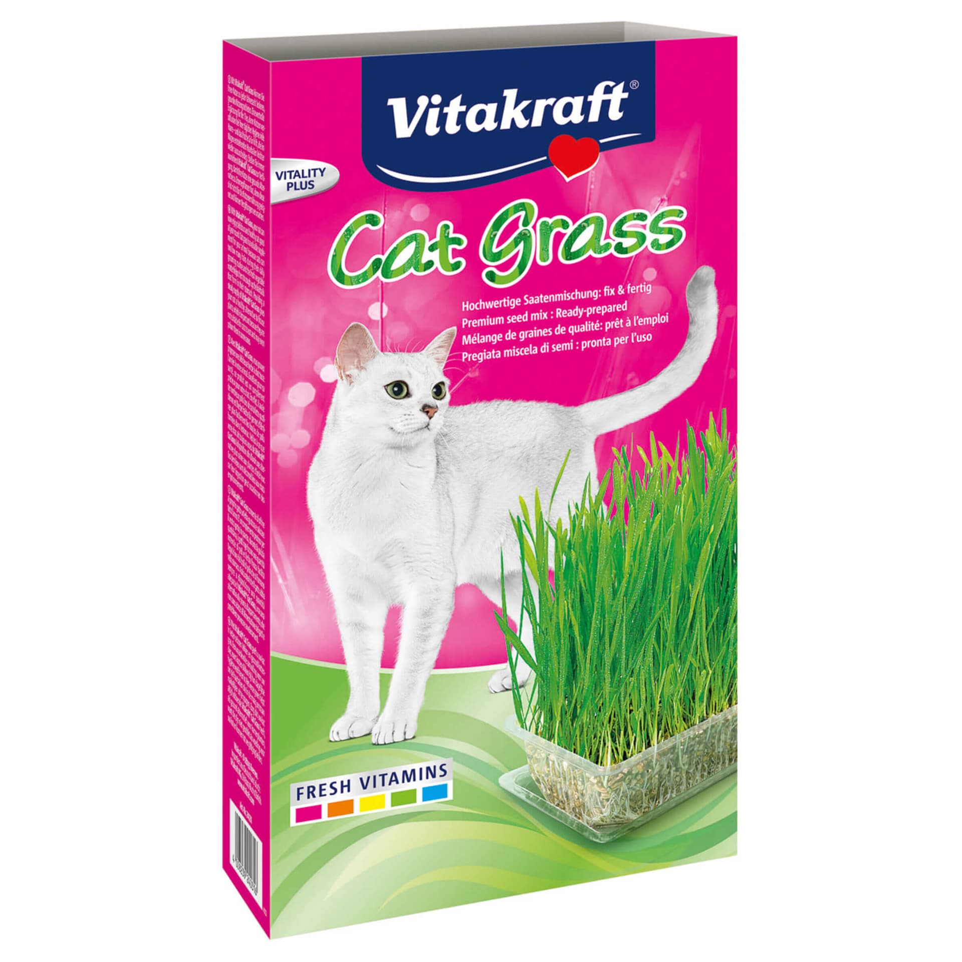 Cat Grass Herbe à chats Bol