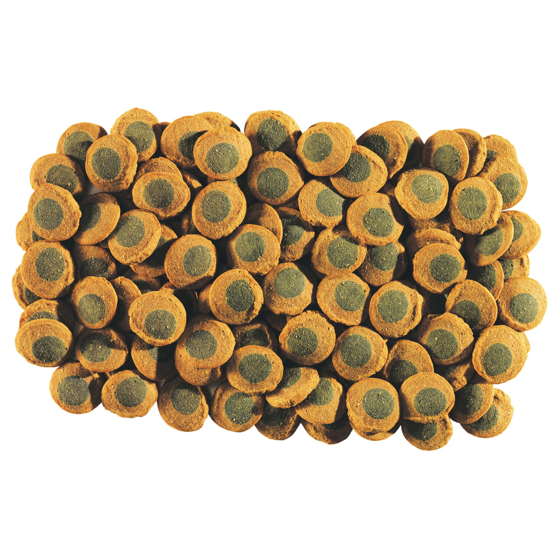 Pleco SpirulinaWafers Nourriture pour poissons