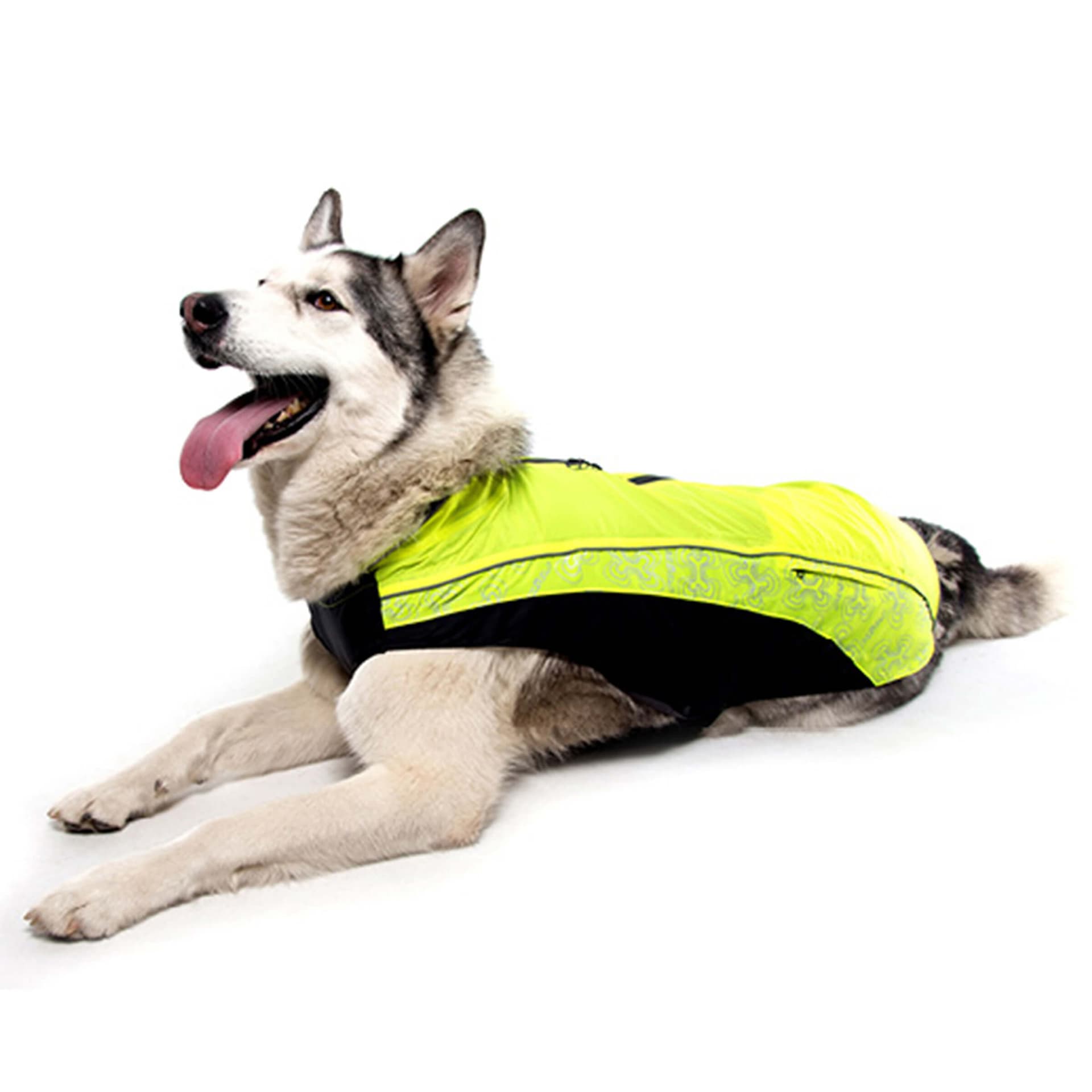 Imperméable pour chiens Rainskin