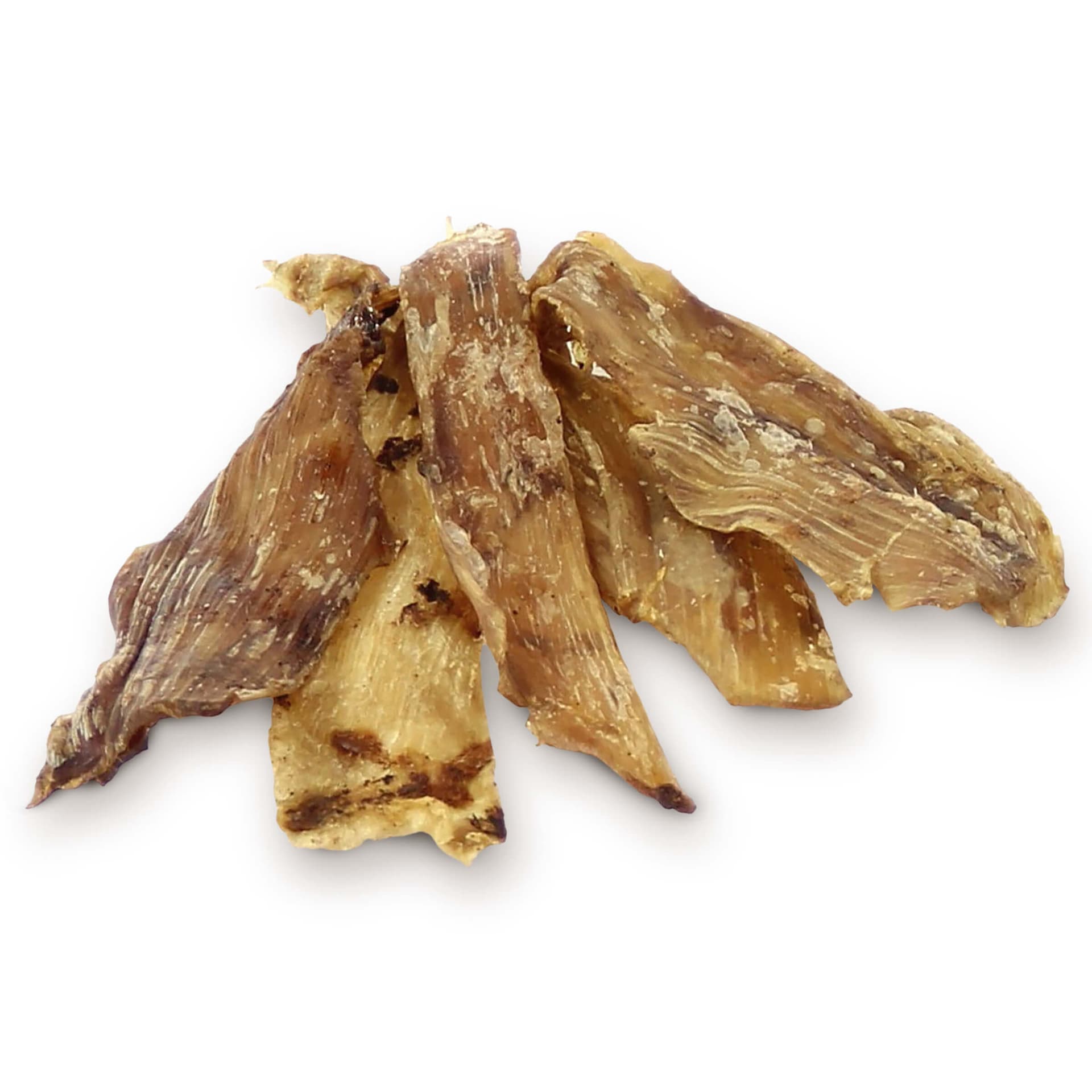 Tendons plats Autruche