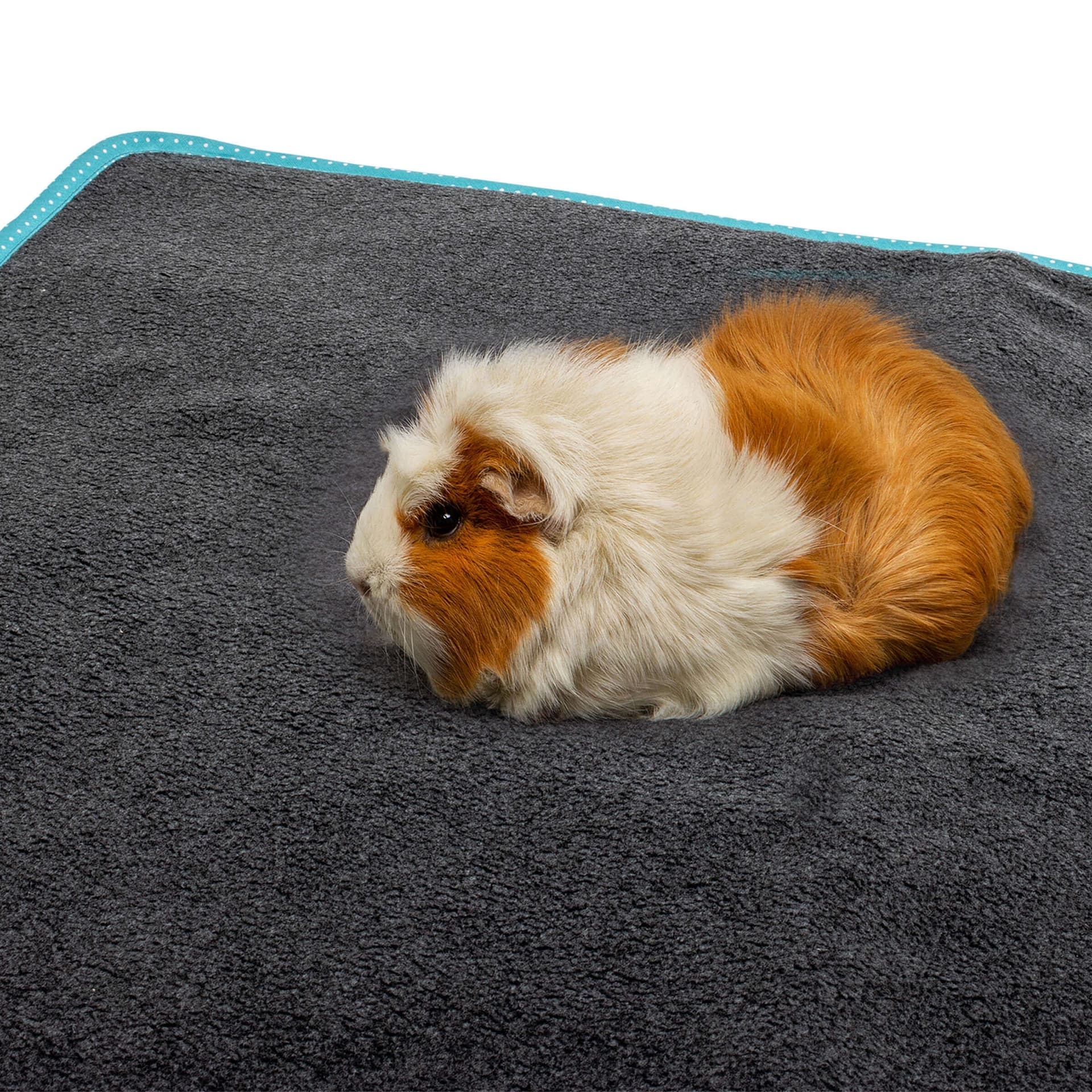 Bedding Easy Tapis litière turquoise