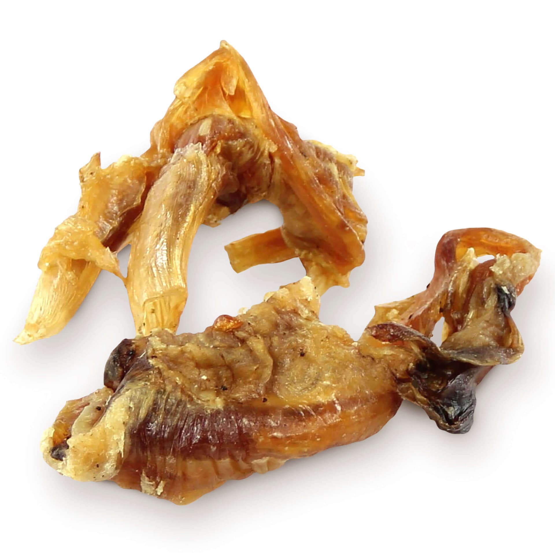 Tendons de cheval