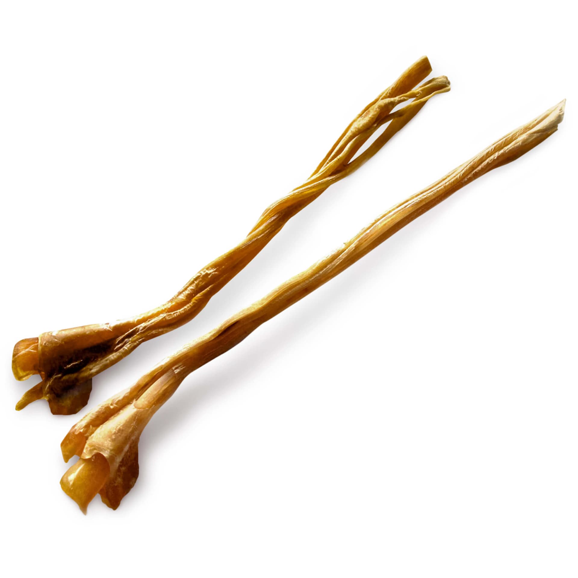 Longs tendons Autruche