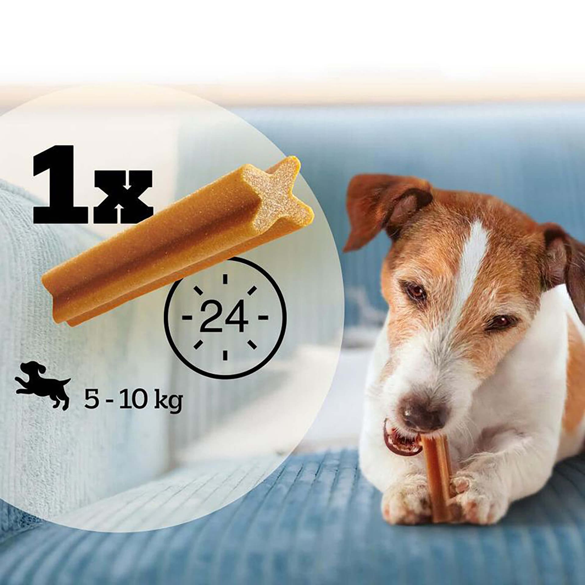 Dentastix S