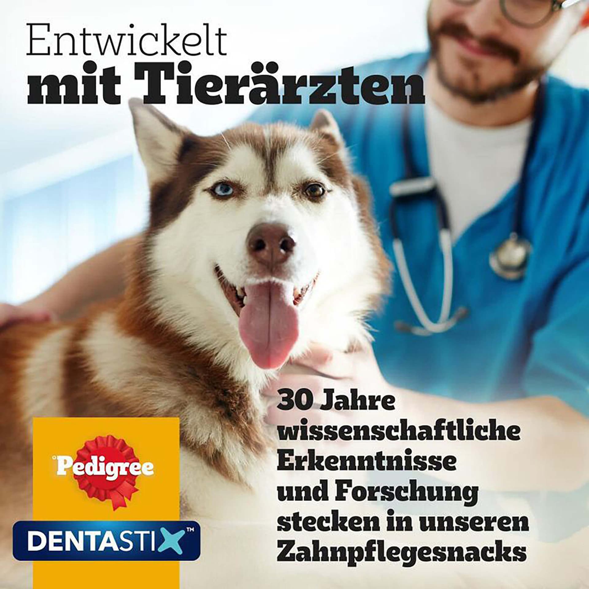 Dentastix S