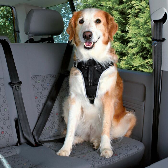 Trixie Harnais pour voiture Dog Comfort, M: 50–65 cm/20 mm, noir