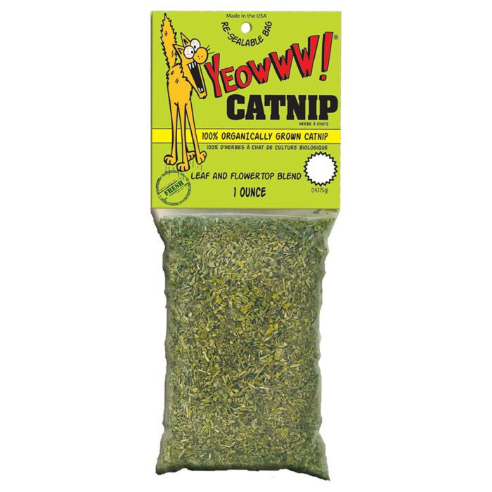 Spray herbe à chat Kong® Naturals Catnip
