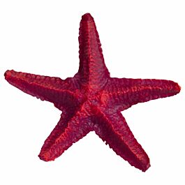 Deep Sea Aquariumdekoration Star Fish pink 12cm