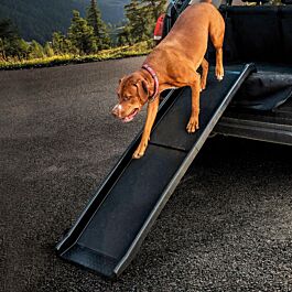 rampe chien escalier voiture d'embarquement télescope rampe d'accès voiture  chiens