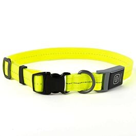 Freezack Leuchthalsband PVC für Hunde gelb