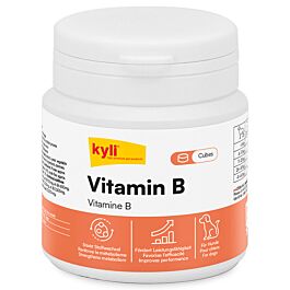 kyli Vitamin B Cubes 120g