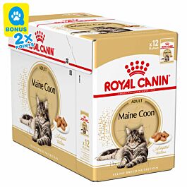 Royal Canin Chat Maine Coon 12x85g