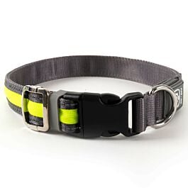 Freezack Leuchthalsband Light-Collar für Hunde gelb