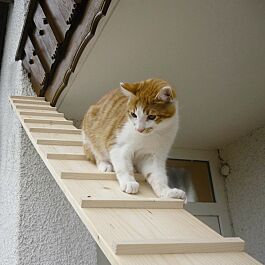 Elmato Escalier pour chats avec connexion en différentes tailles