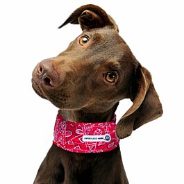 Aqua Coolkeeper Cooling Collar Red Western Kühlhalsband