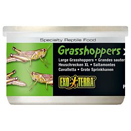 Exo Terra Reptilienfutter Grasshoppers