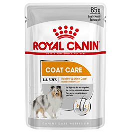 Royal Canin Hundefutter Adult Coat Care für glänzendes Fell